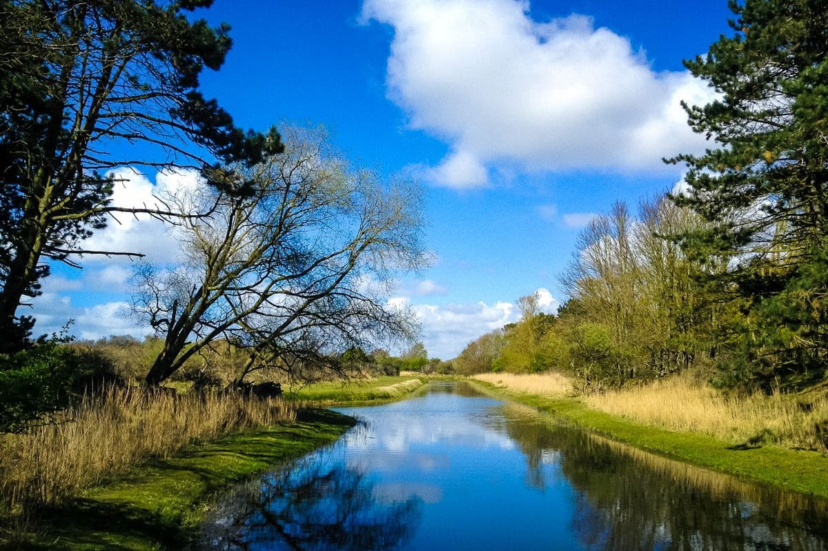 Foto 39 van Gravin Adahof 14