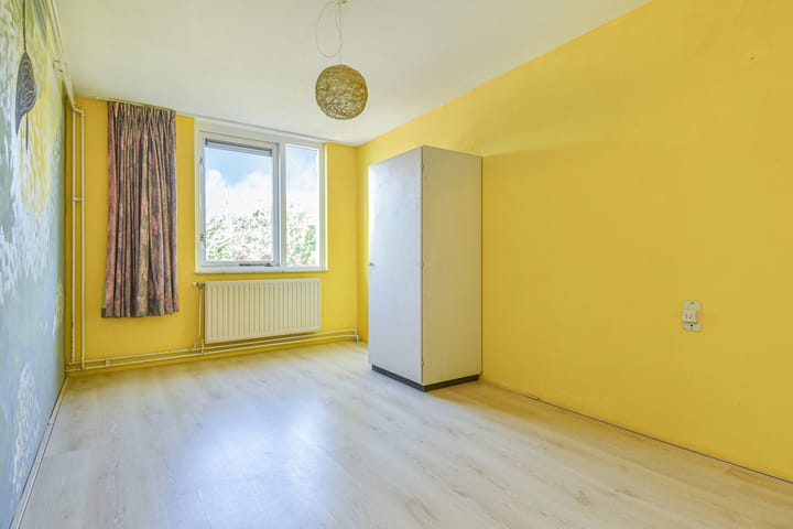 Foto 16 van Boekweitakker 15