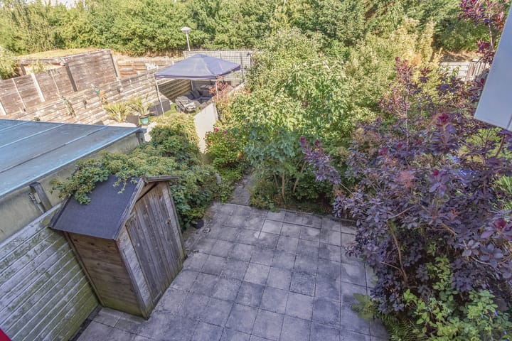 Foto 27 van Boekweitakker 15