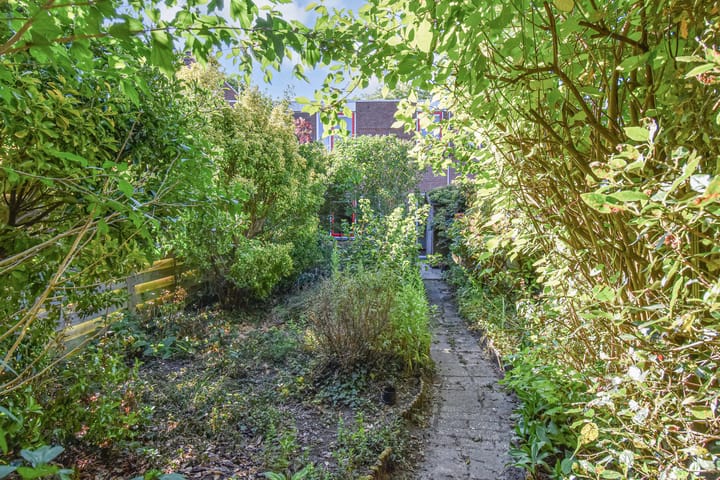 Foto 31 van Boekweitakker 15