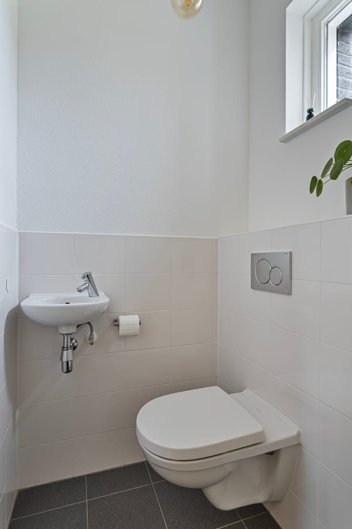 Foto 9 van Bomenbeemd 24