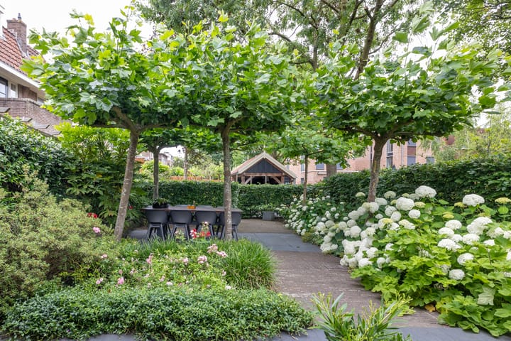 Photo 57 of Kattensingel 46