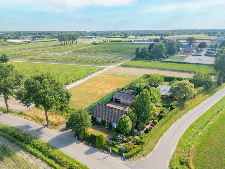 Photo 3 of Palmbosstraat 12