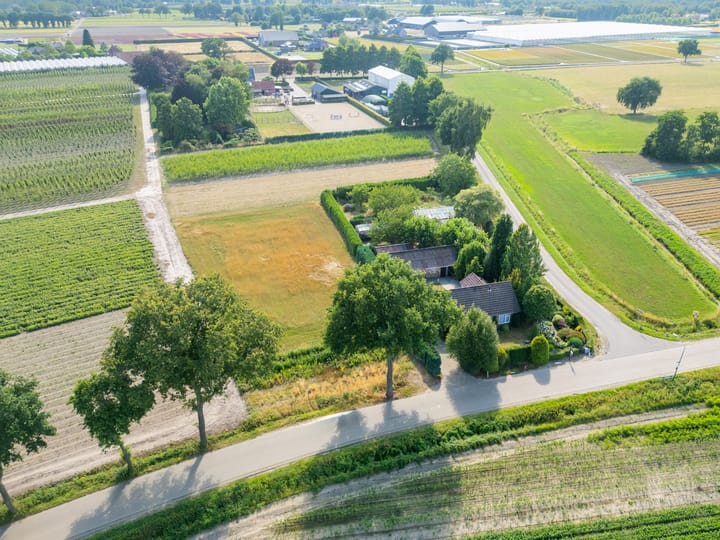 Photo 4 of Palmbosstraat 12