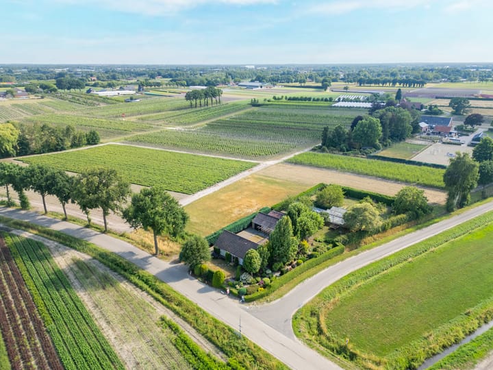 Photo 45 of Palmbosstraat 12