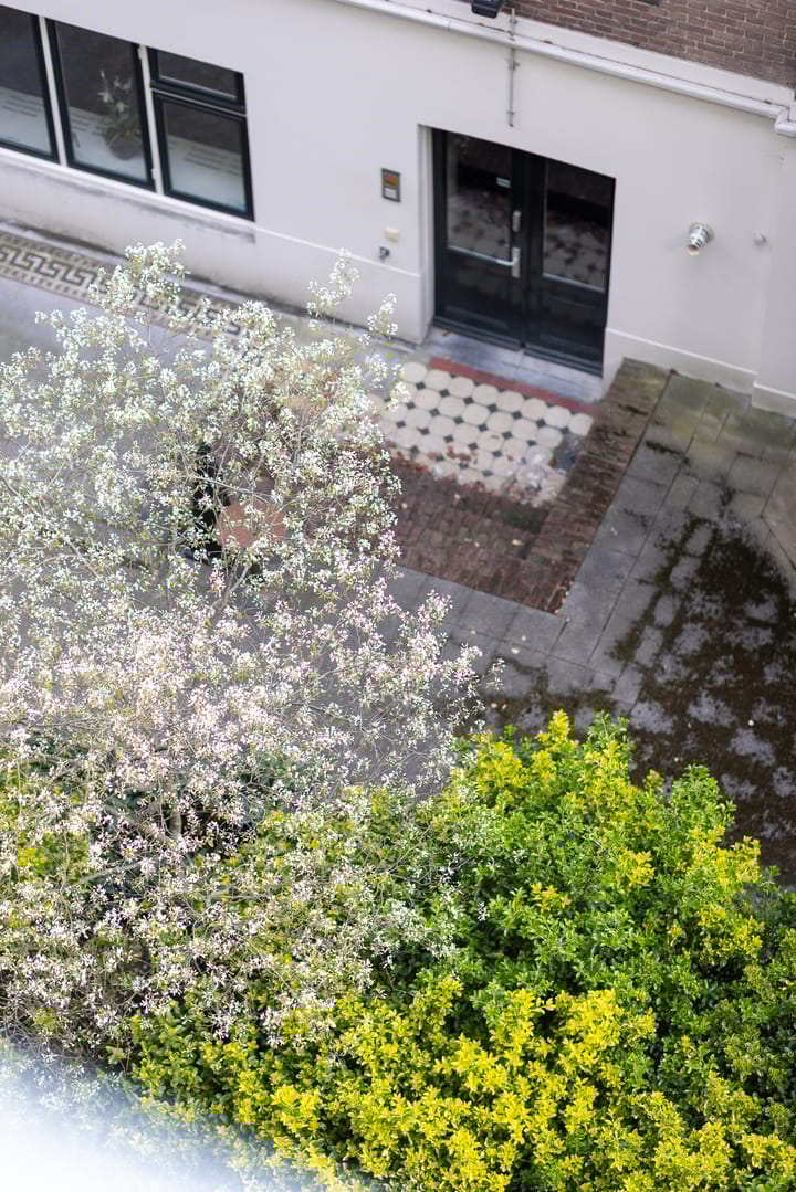 Foto 14 van Houtlaan 34-F