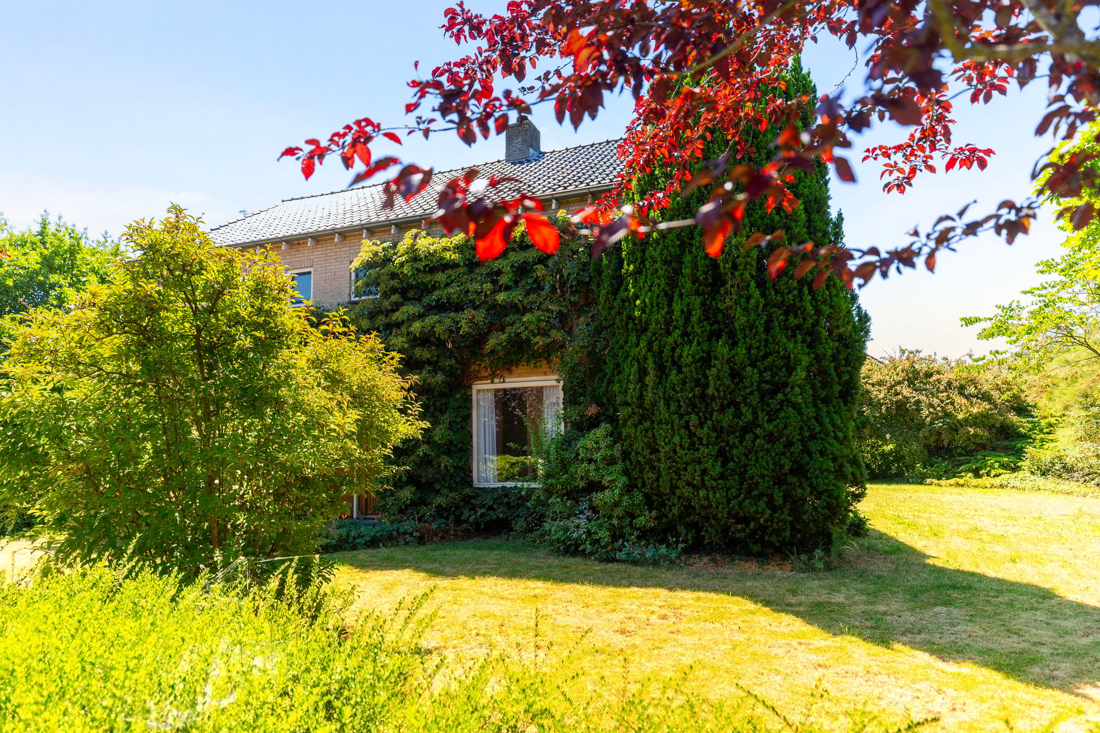 Foto 24 van Torenlaan 16