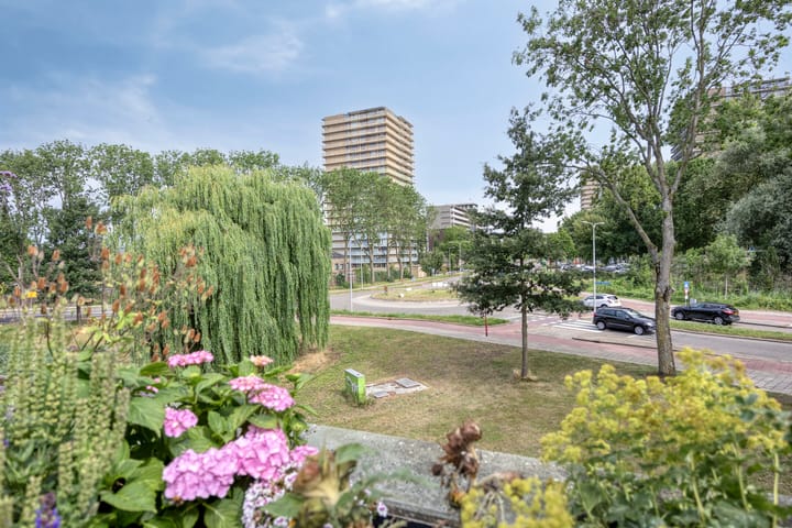 Foto 33 van Douzapad 35