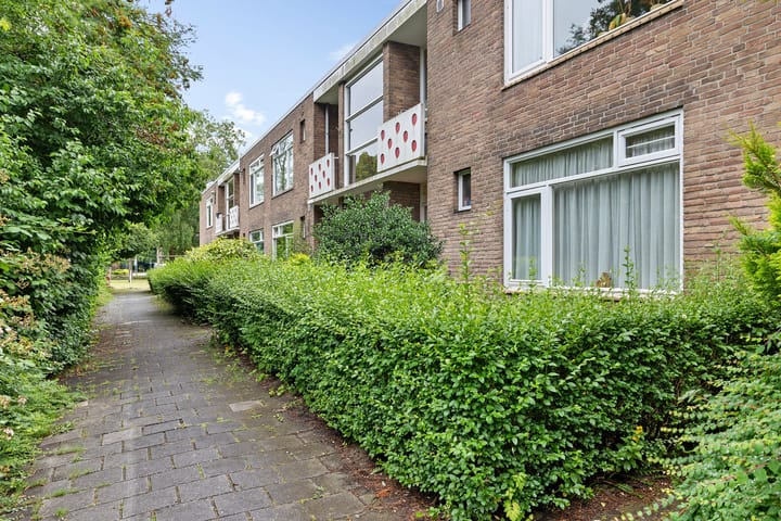 Photo 3 of Paterswoldseweg 422