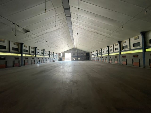 Bekijk foto 4 van Horselerweg 5