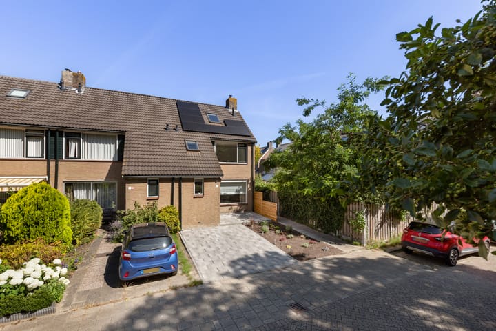 Foto 4 van Hoornklaver 1