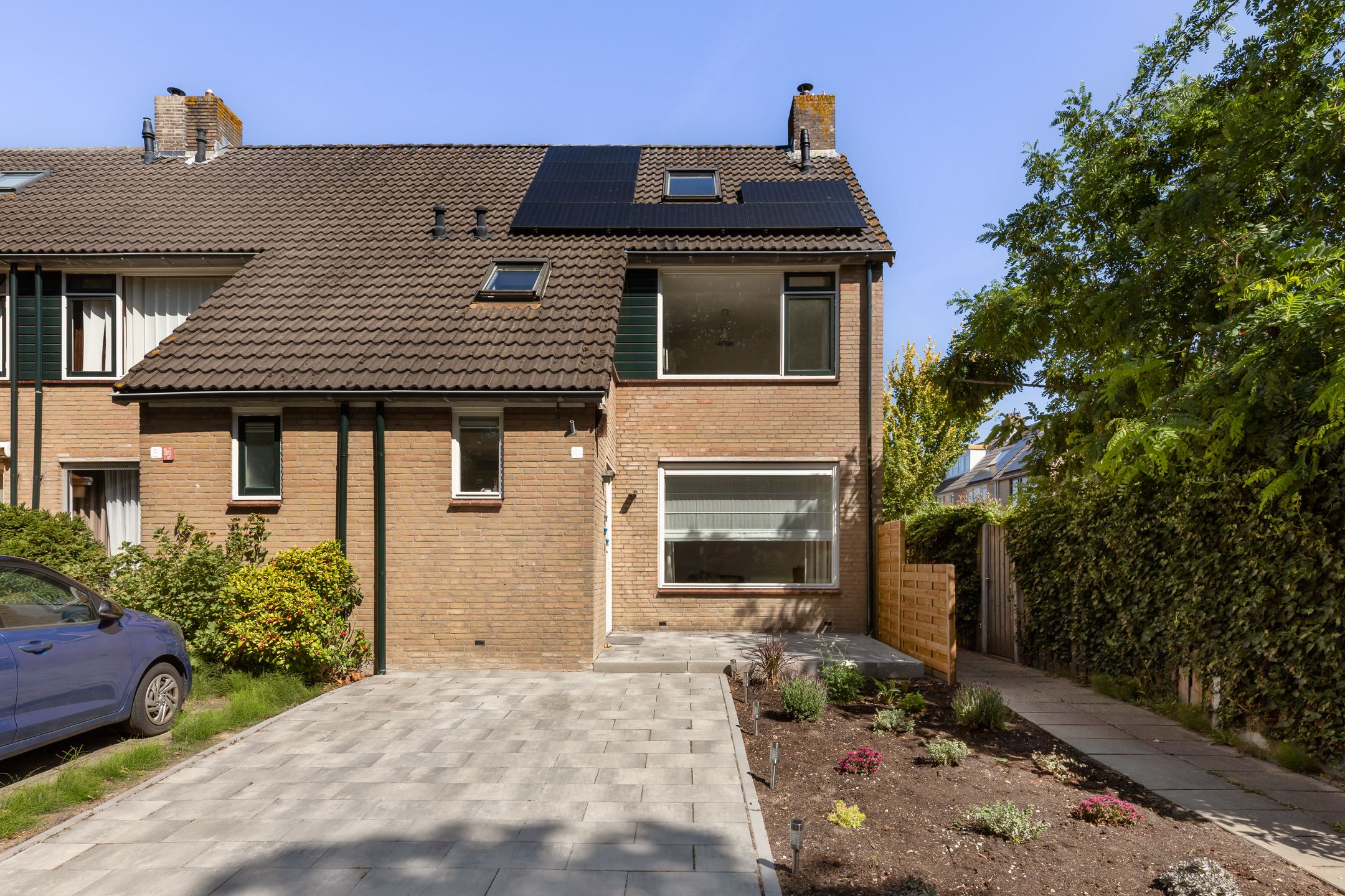 Foto 6 van Hoornklaver 1