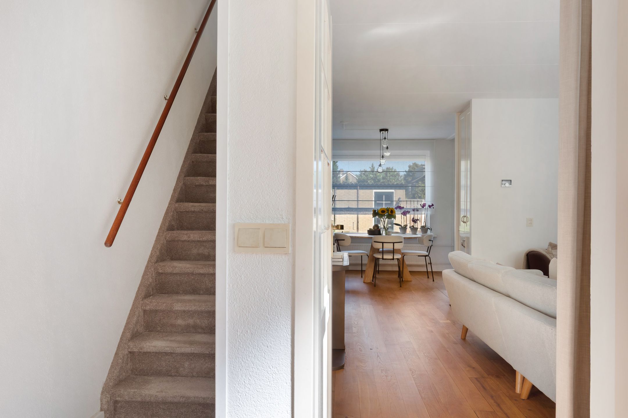 Foto 9 van Hoornklaver 1