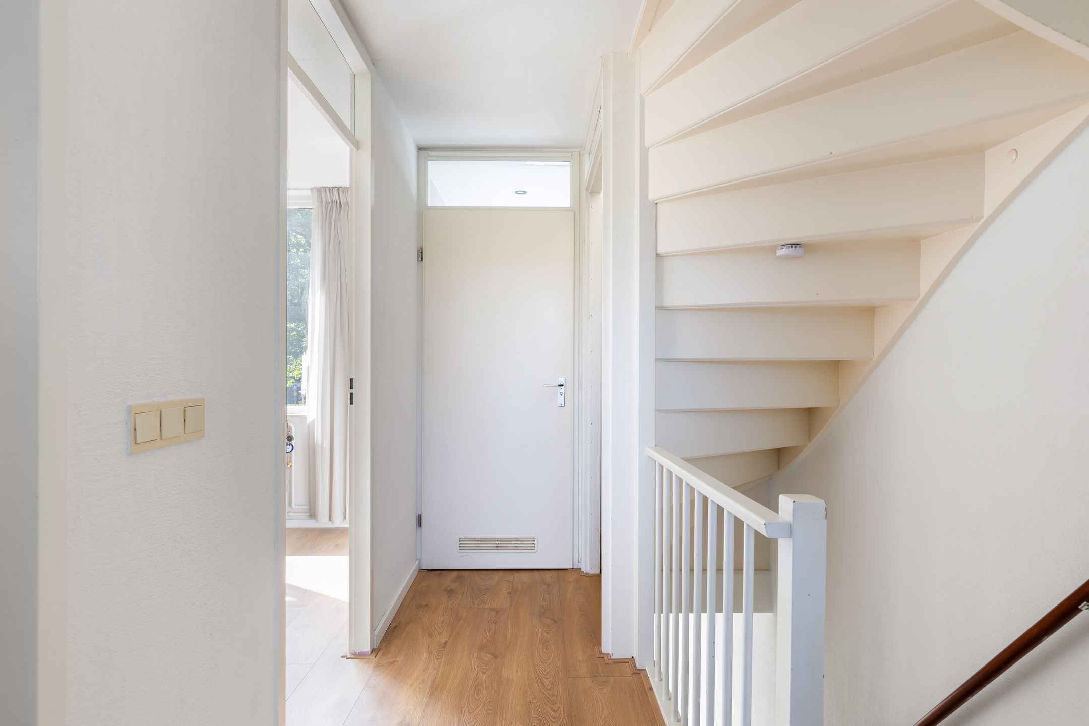 Foto 24 van Hoornklaver 1