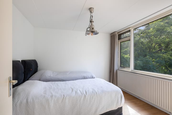 Foto 30 van Hoornklaver 1