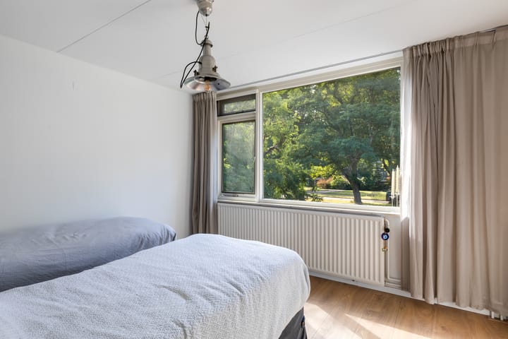 Foto 31 van Hoornklaver 1