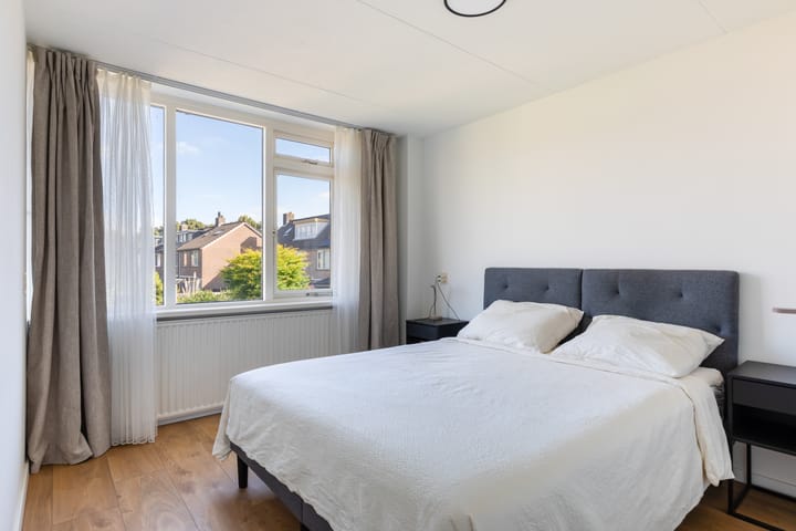 Foto 32 van Hoornklaver 1