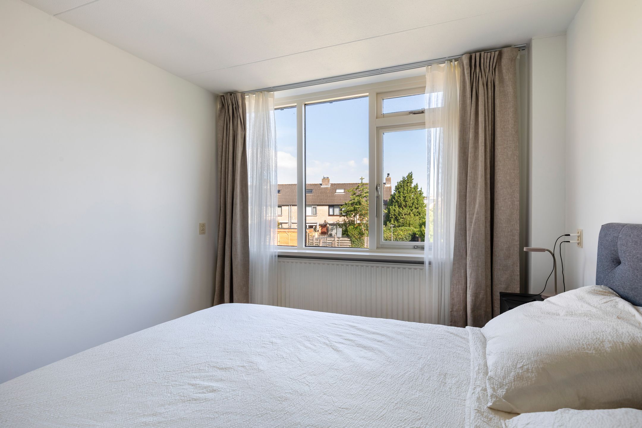 Foto 33 van Hoornklaver 1