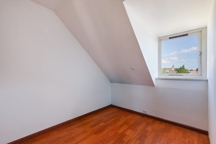 Foto 36 van Hoornklaver 1