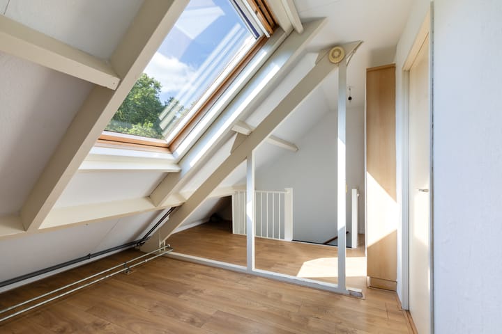 Foto 41 van Hoornklaver 1