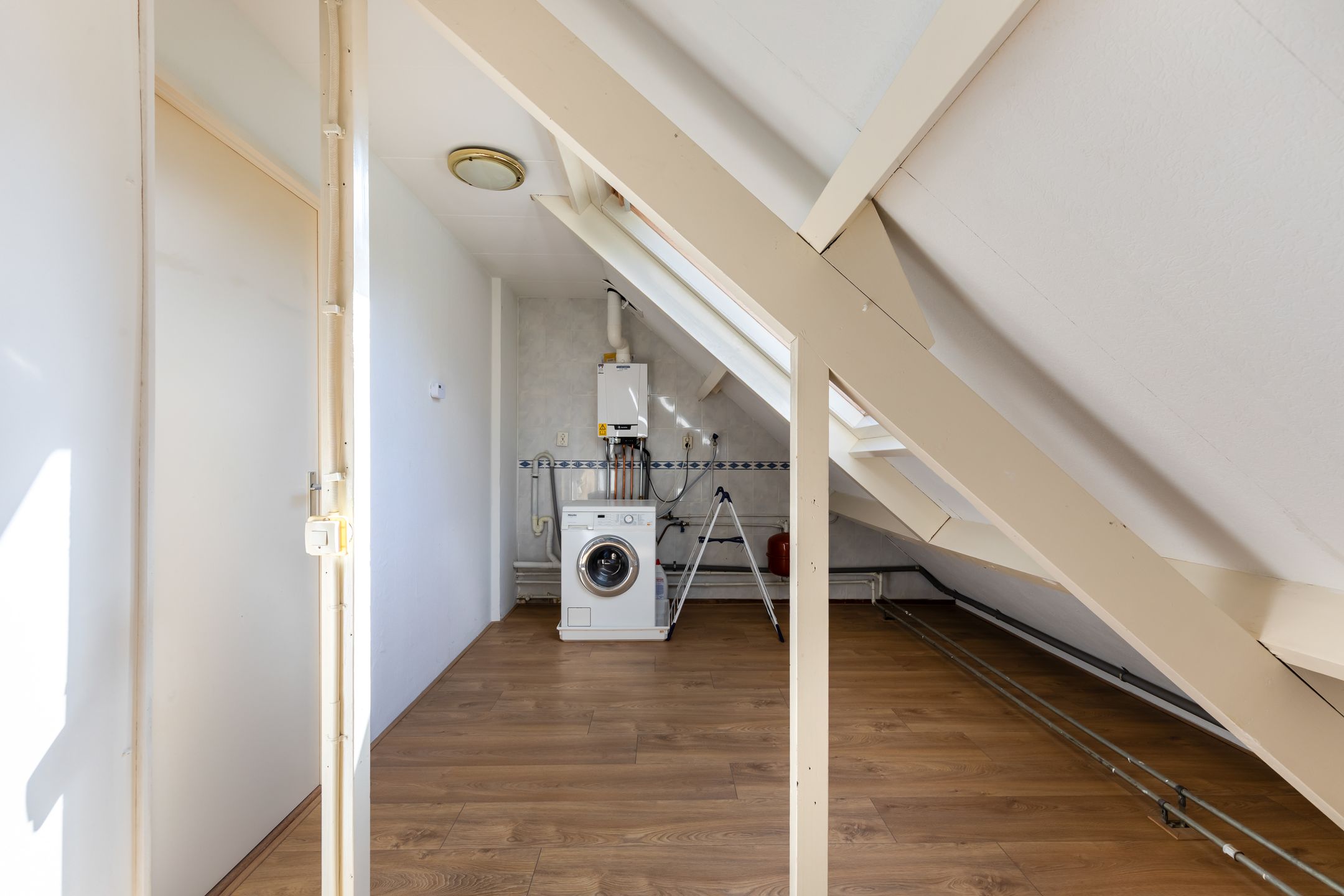 Foto 42 van Hoornklaver 1