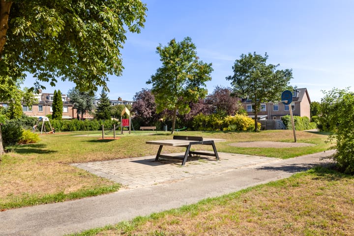 Foto 47 van Hoornklaver 1