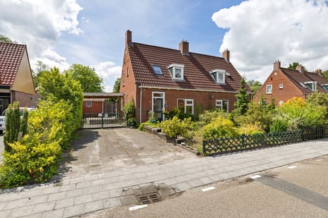 undefined main image