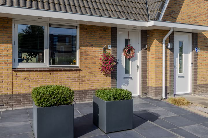 Foto 3 van Vivaldilaan 3