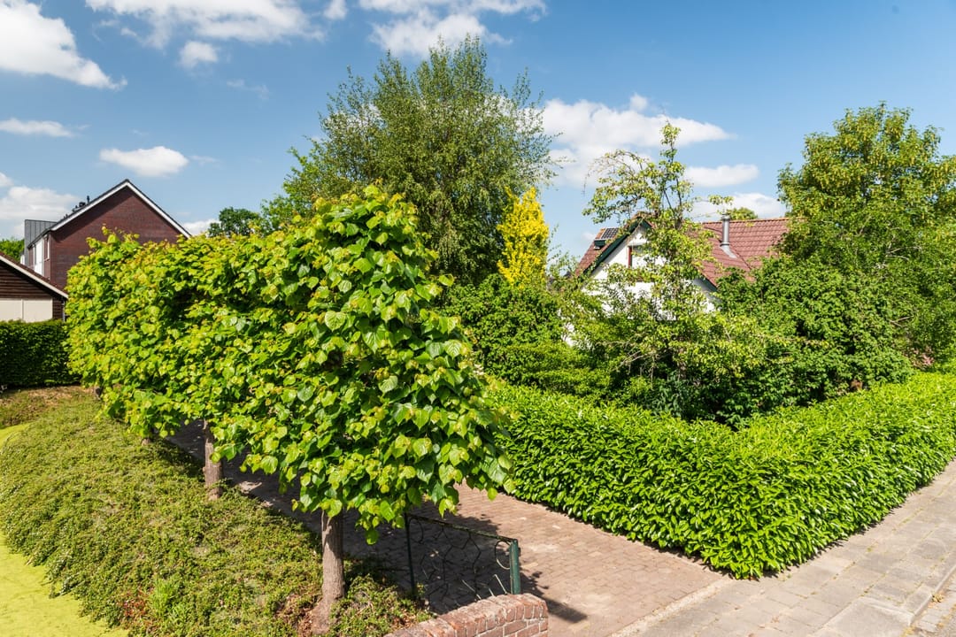 Foto 8 van Dorpsstraat 6