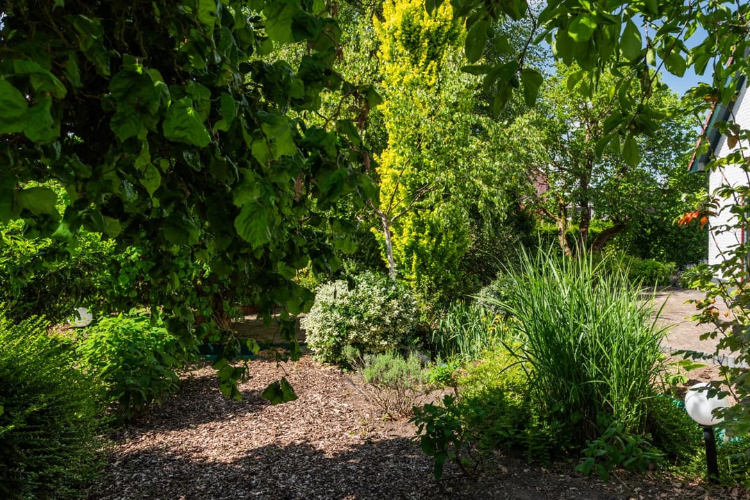 Foto 31 van Dorpsstraat 6