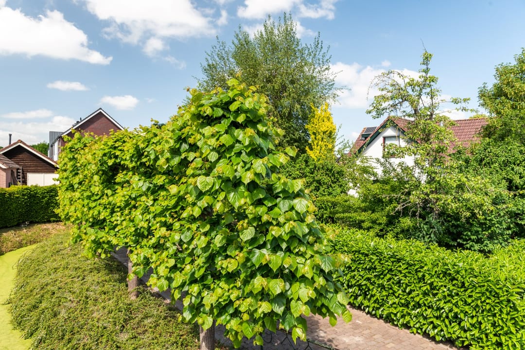 Foto 41 van Dorpsstraat 6