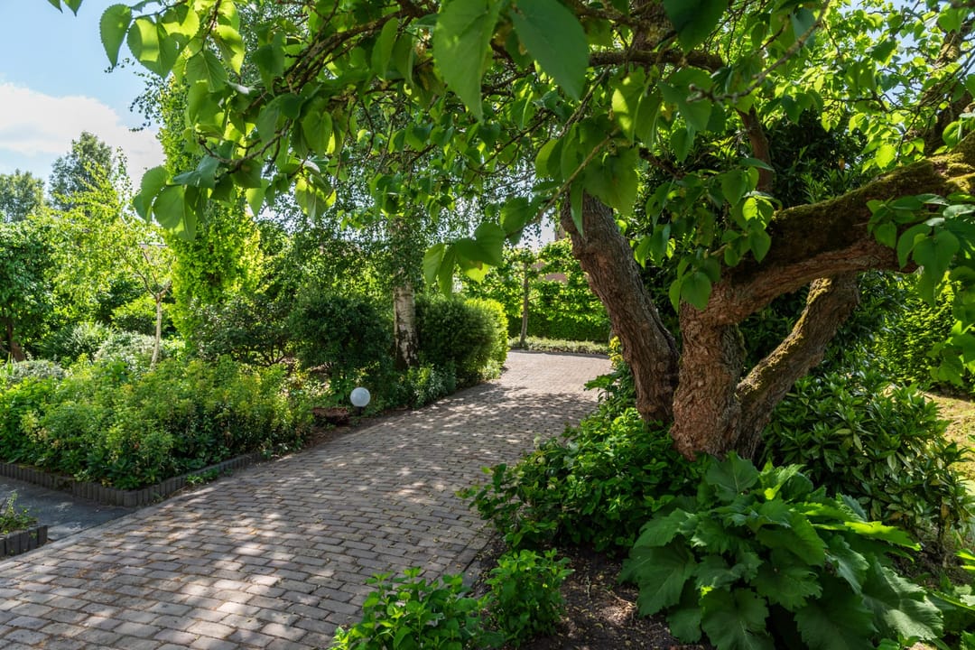 Foto 58 van Dorpsstraat 6