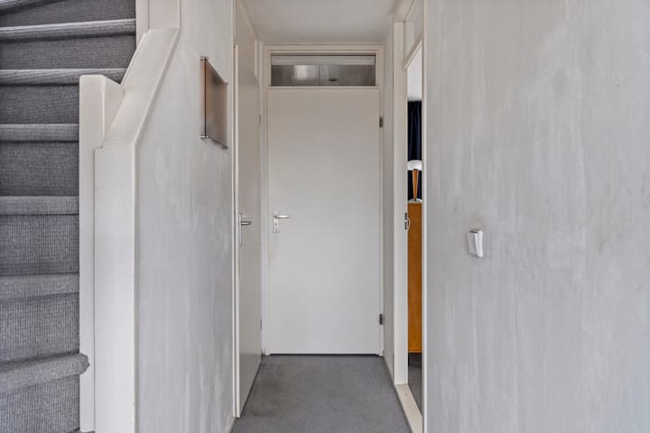 Photo 12 of Ring 295