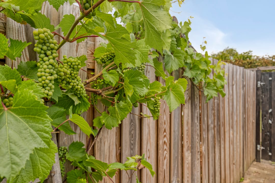 Foto 26 van Ring 295