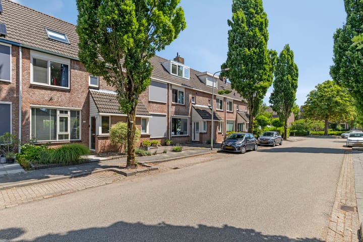 Photo 28 of Ring 295