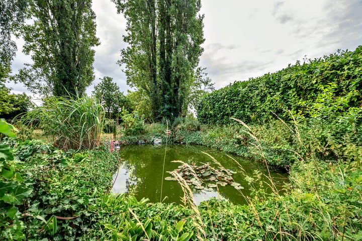 Foto 37 van Grootdorp 9