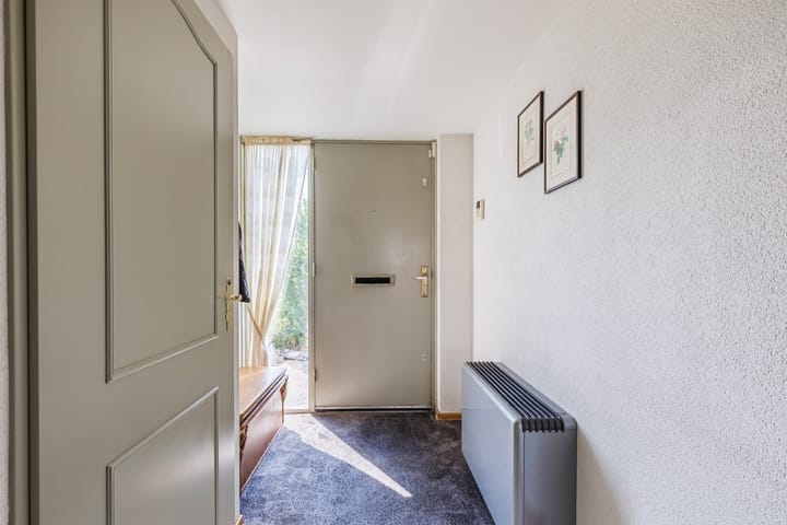 Foto 17 van P. Boorsmastraat 48