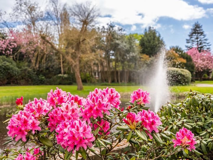 Foto 4 van Lindenlaan 44-C