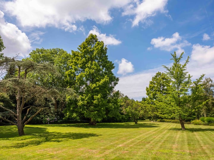 Foto 31 van Lindenlaan 44-C