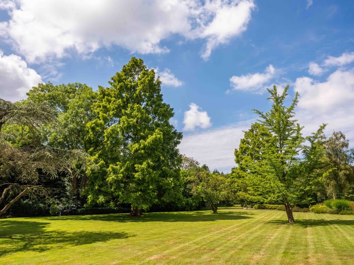 Foto 33 van Lindenlaan 44-C