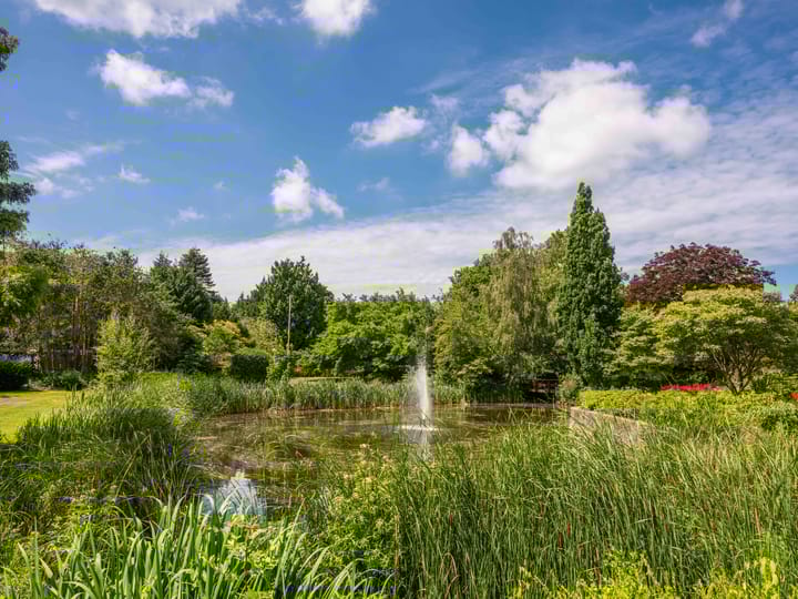 Foto 35 van Lindenlaan 44-C