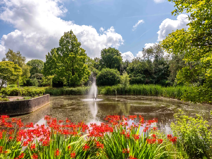 Foto 38 van Lindenlaan 44-C