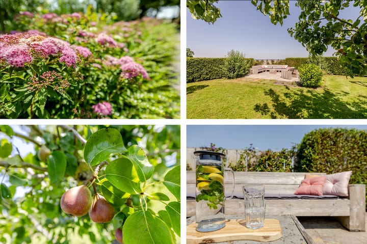 Foto 6 van Rijperweg 119-A