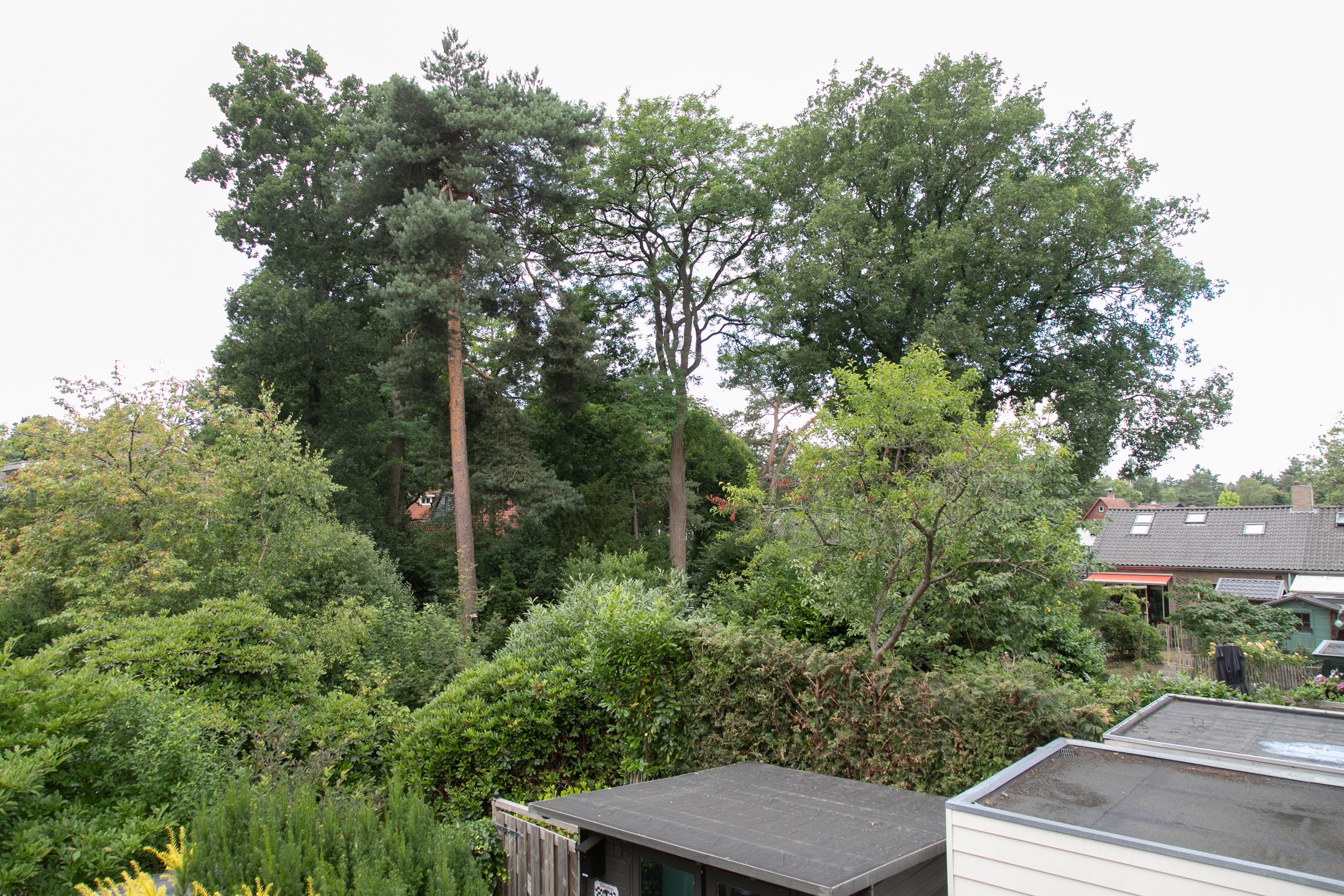 Photo 21 of Kapelweg 7