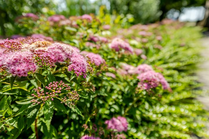 Foto 53 van Rijperweg 119-A