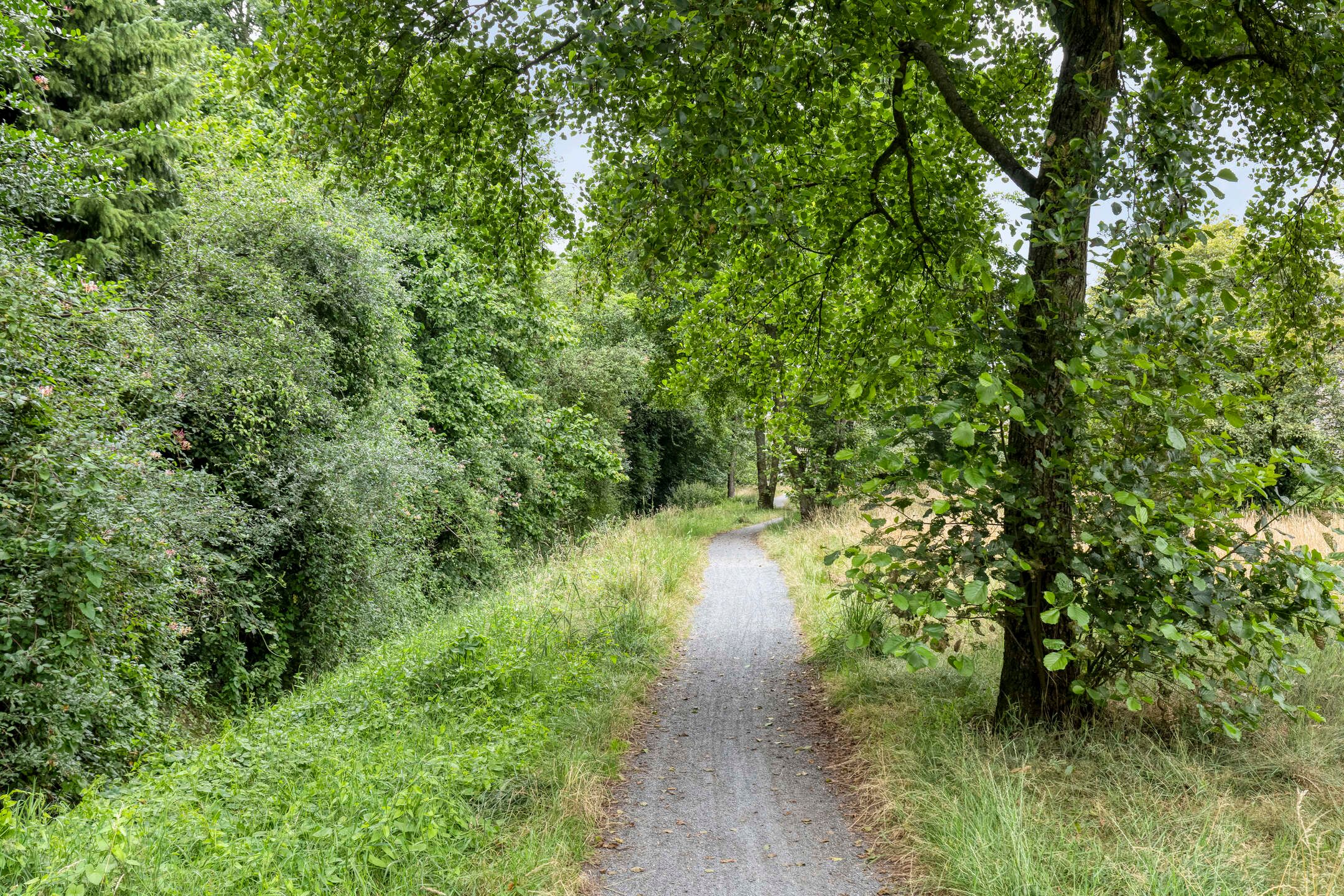 Foto 45 van Kymmelhof 23
