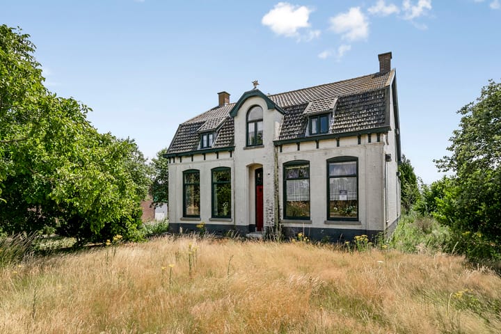 undefined main image