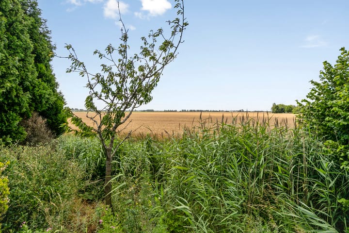 Photo 34 of Zeelandweg-Oost 53