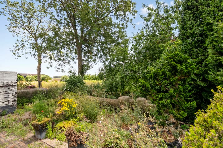 Photo 35 of Zeelandweg-Oost 53