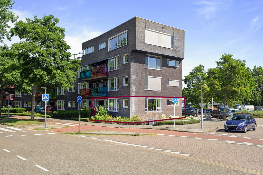 Foto 2 van Drooghe Bol 2015